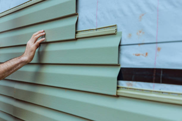 Best Custom Siding Design  in Eddyville, IA
